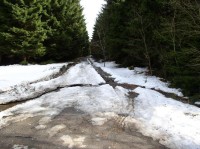 Neznačená lesní cesta po 1 km křížící ŽTZ: Tato cesta kopíruje hranici národní přírodní rezervace Velký Špičák