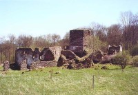 Pasovary (hrad)