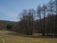 údolí Bobravy