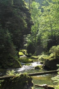 mezi soutěskami: Soutěsky Kamenice