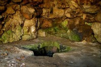 v zámeckém parku: studánka v jeskyňce pod čínským pavilonem