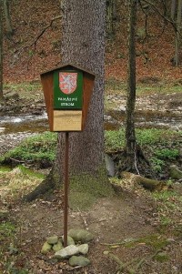 Prunéřovské údolí: cedulka u památných smrků