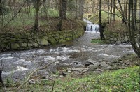 Prunéřovské údolí: přítok Prunéřovského potoka