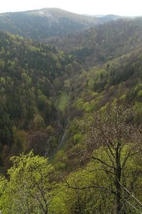 Prunéřovské údolí: pohled z Hasištejna
