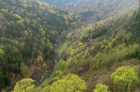 Prunéřovské údolí: pohled z Hasištejna