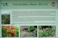 Holibka - detail infotabule