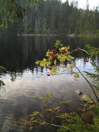 Prášilské jezero