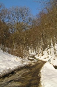 pod hradem: cesta na hrad