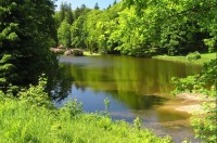 zámek Kynžvart: rybník v zámeckém parku