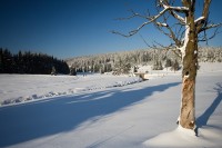 Schwarzwassertal v zimě