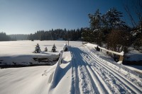 Schwarzwassertal v zimě