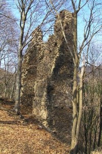 Kyšperk: zbytky obytné věže