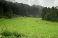 přírodní park Hadovka: údolí Hadovky pod Krasíkovem