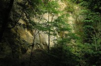 pod vodopádem: pískovcová stěna v údolí potoka