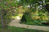 botanická zahrada: cestičky v zahradě