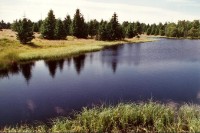 u Novodomského rašeliniště: Nový rybník
