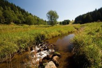 Údolí Moldavského potoka - na hranici