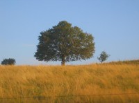 Libná -vysídlená krajina