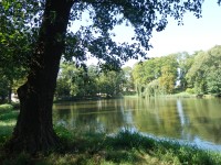 rybník v dolním parku