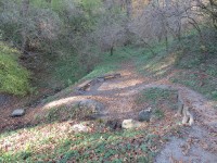 studánka