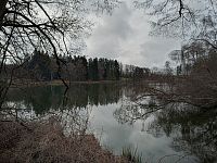 Waldsee