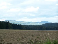 Javoří Hory: Pohled od Zdoňova na část hřebene (vpravo Ruprechtický Špičák)