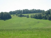 Pastvina nad obcí seninka