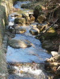 Potok Červenka - jeden z přítoků Dřevnice
