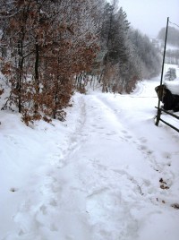 Sestup do údolí Jaroslavických pasek