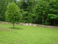 Původní náhrobky hřbitova