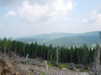 Pohled na Můstecký hřbet ze severního úbočí Špičáku