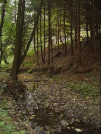 Drahotušský potok: Potok směrem na Uhřínov