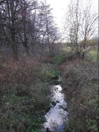 Dolnonětčický potok: Potok