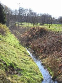 Maleník: Potok v Soběchlebích