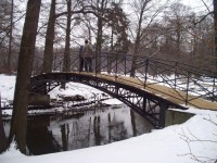 Pszczyna - most v parku