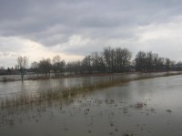 hraniční řeka Odra - rozlitá