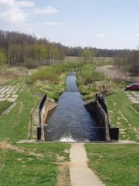 Řeka Pszczynka