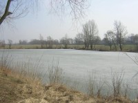 Olza - rybník