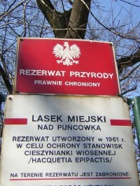 Nad Puńcówką