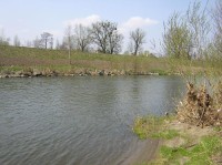 Nad Młynówką - řeka Olše