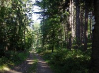 Černý les: stezka Pocheň Úvalno Krnov
