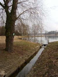 Jezero 6