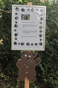 Medvědí stezka v Jáchymově