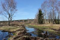 Perninské rašeliniště