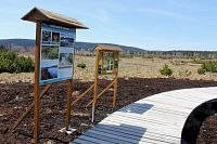 Perninské rašeliniště