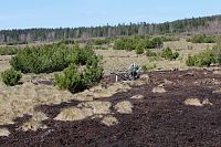 Perninské rašeliniště