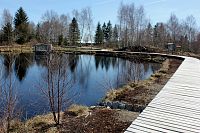 Perninské rašeliniště