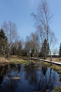 Perninské rašeliniště