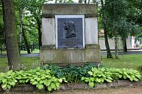 Němcová je zde zpodobena z profilu, v němž vynikne její hlava zakrytá šátkem, který ji v duchu poúnorové doby dává vzhled prosté ženy z lidu.