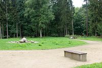 Princip hry je stejný jako u stolní verze: podle hodu kostkou postupují po políčkách a snaží se dostat všechny figurky do cíle.